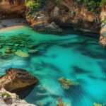 Descubre las mejores calas de Ibiza con aguas cristalinas y arena blanca en un día soleado